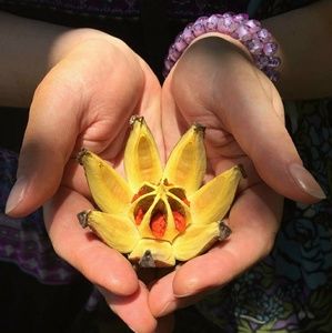 Meet your Posher, Mel